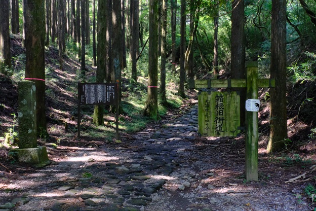 箱根旧街道石畳