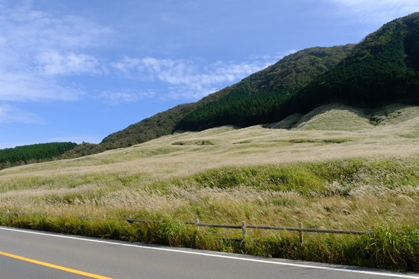 箱根の秋（すすき草原）
