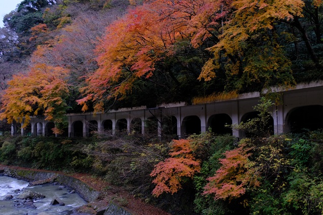箱根の秋（紅葉）