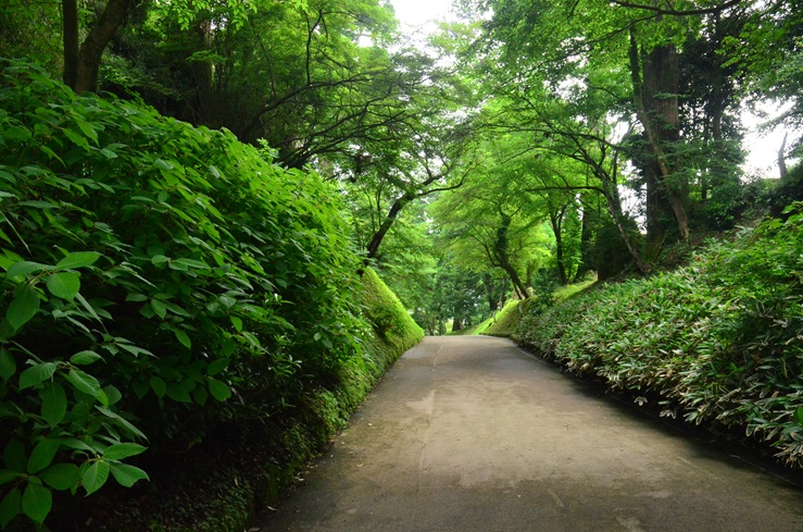 12.夕方の林道で